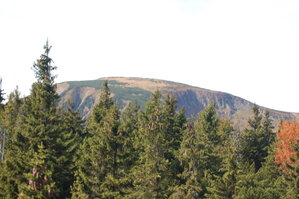 an1_008869.jpg
