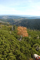 an1_008873.jpg