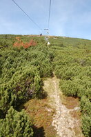 an1_008874.jpg