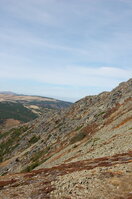 an1_008883.jpg