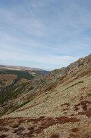 an1_008884.jpg