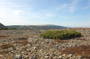 an1_008937.jpg