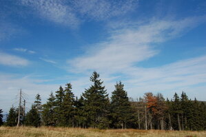 an1_008946.jpg