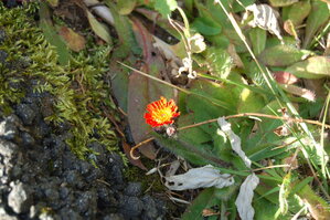 an1_008955.jpg