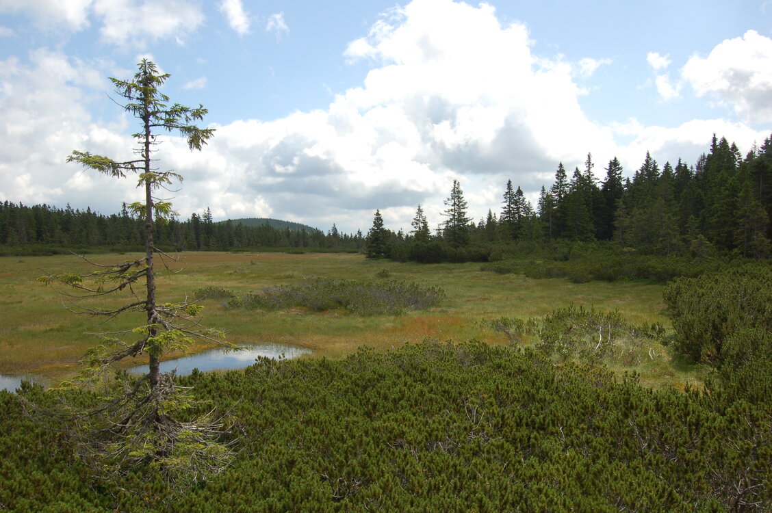 an1_042781.jpg