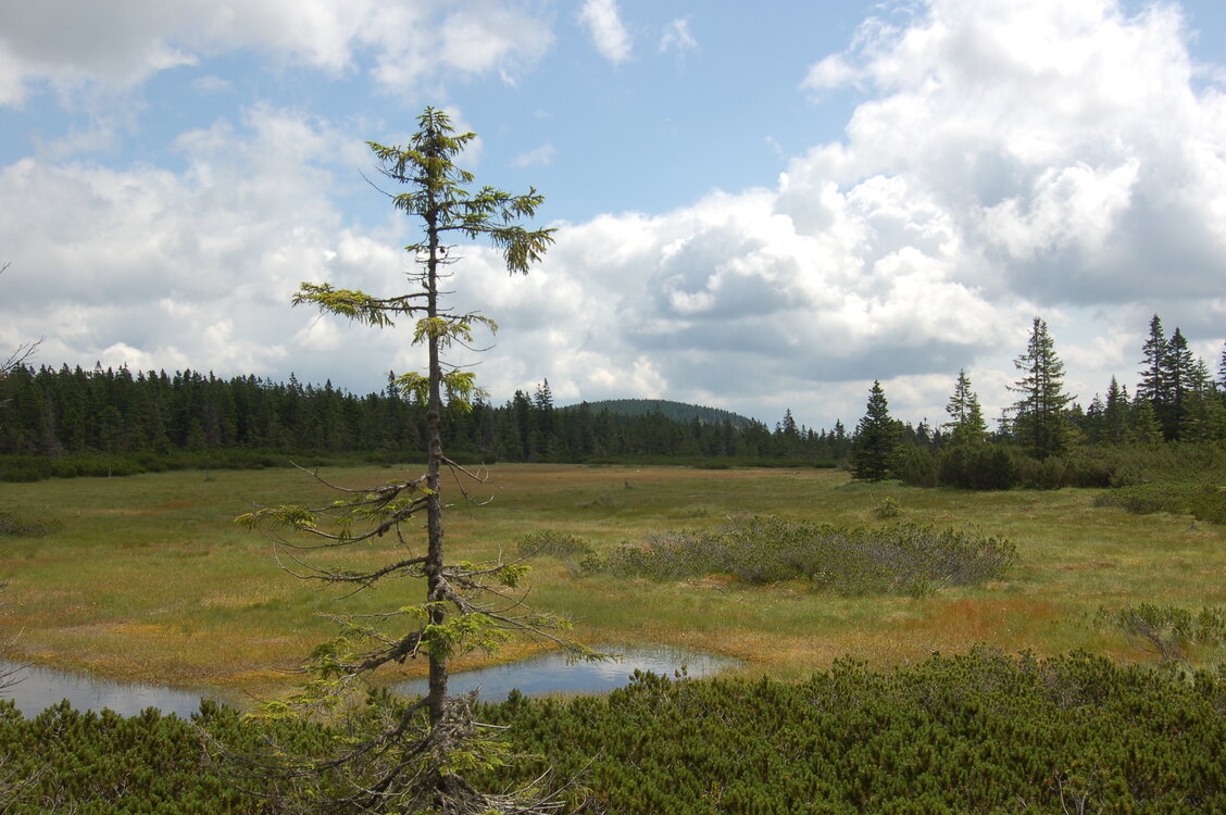 an1_042782.jpg