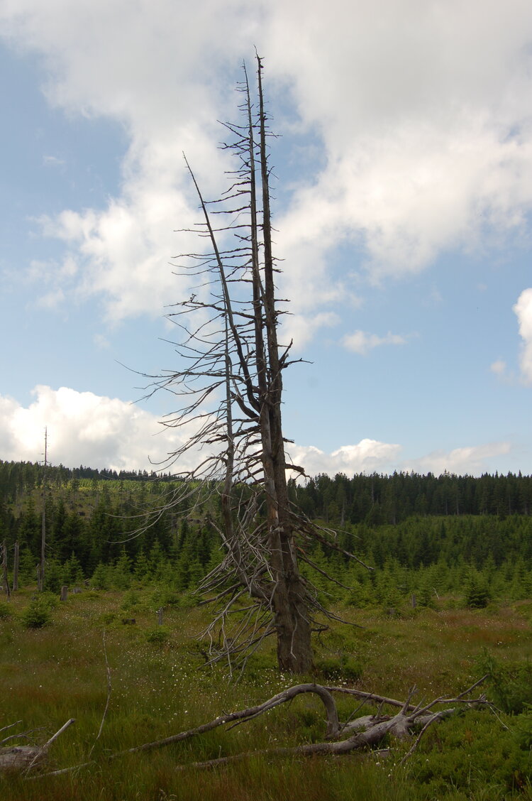 an1_042793.jpg
