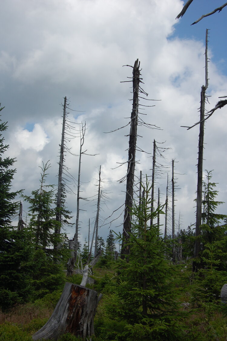 an1_042801.jpg