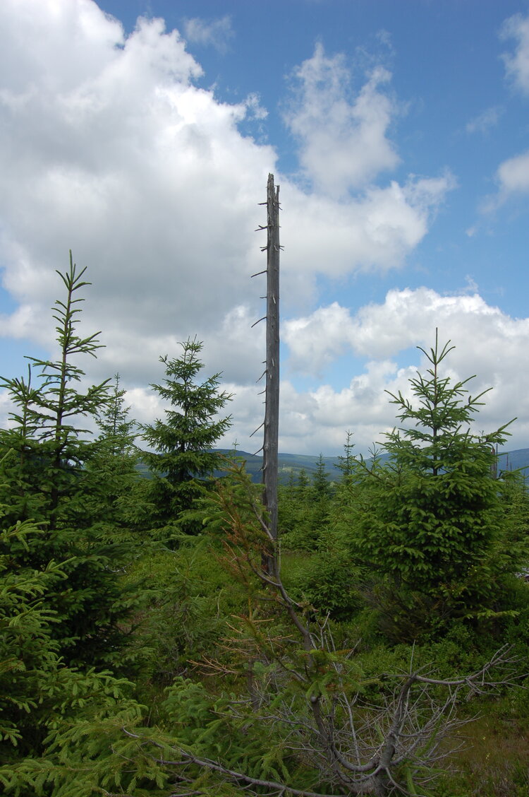 an1_042802.jpg