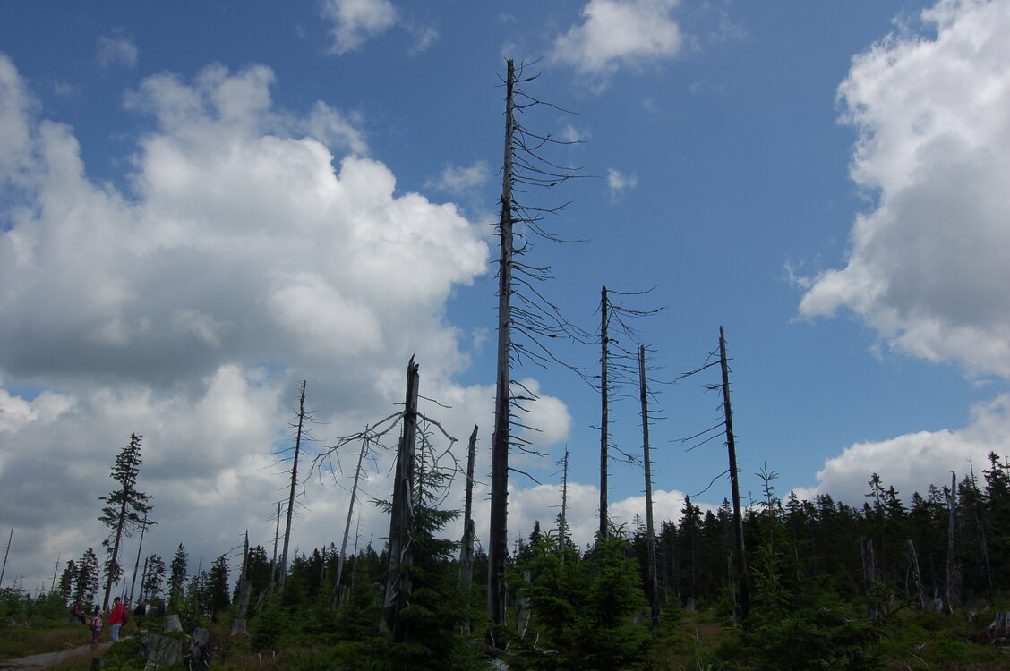 an1_042805.jpg
