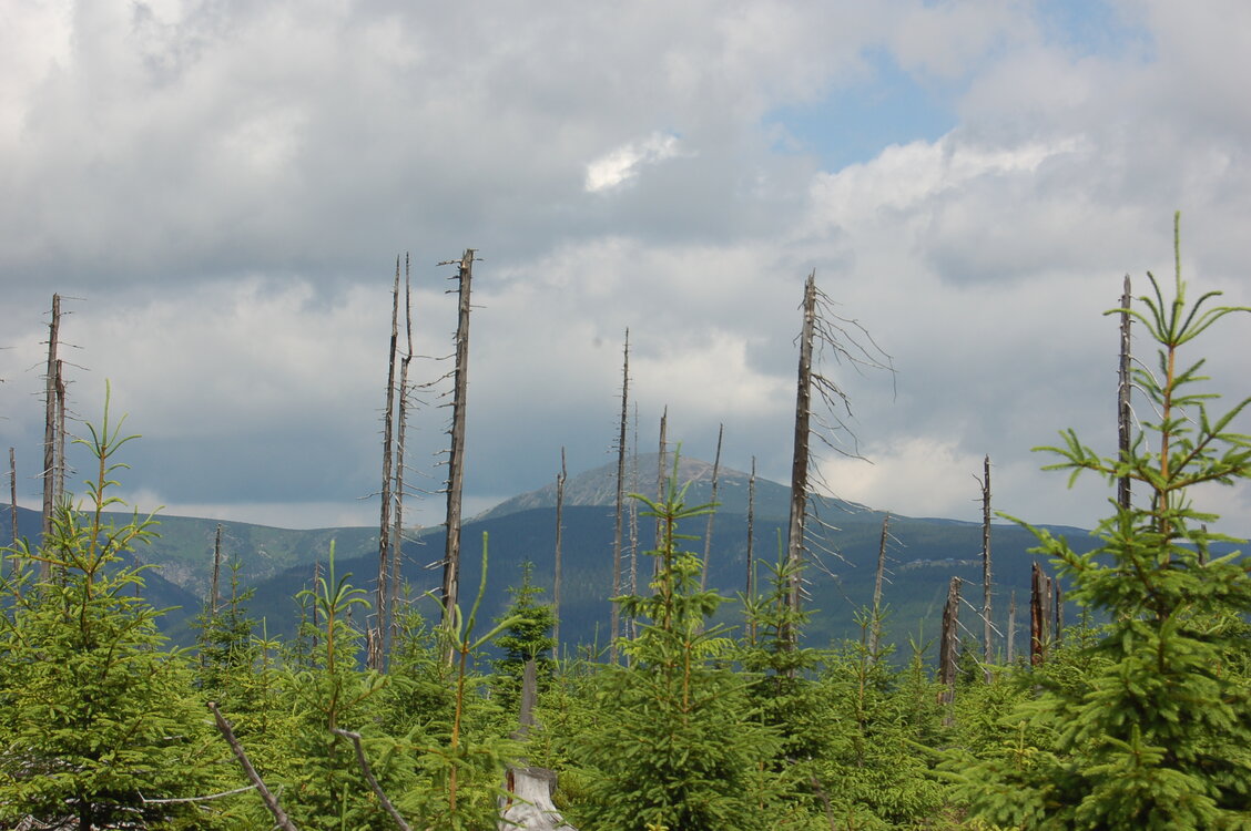 an1_042809.jpg