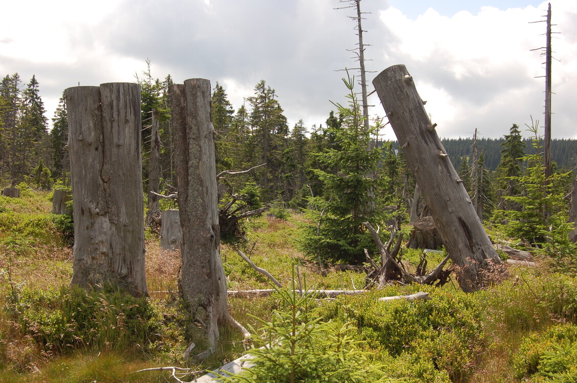 an1_042812.jpg