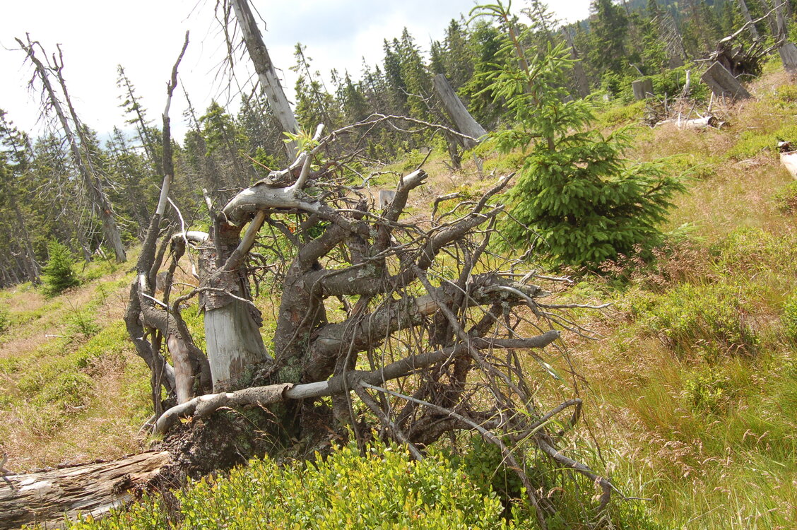 an1_042813.jpg