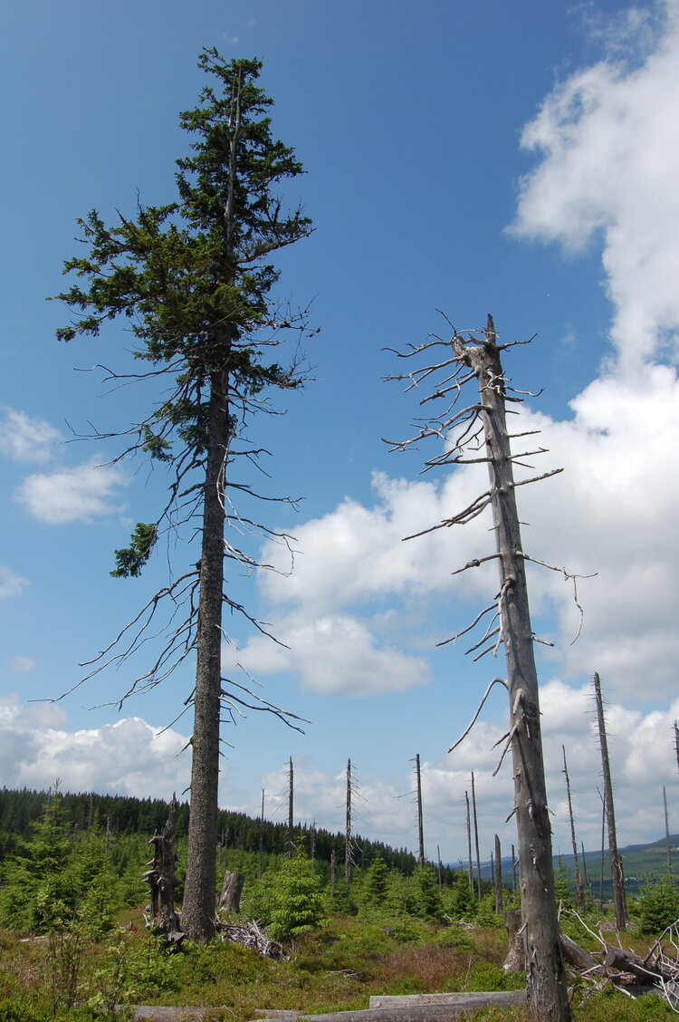 an1_042815.jpg