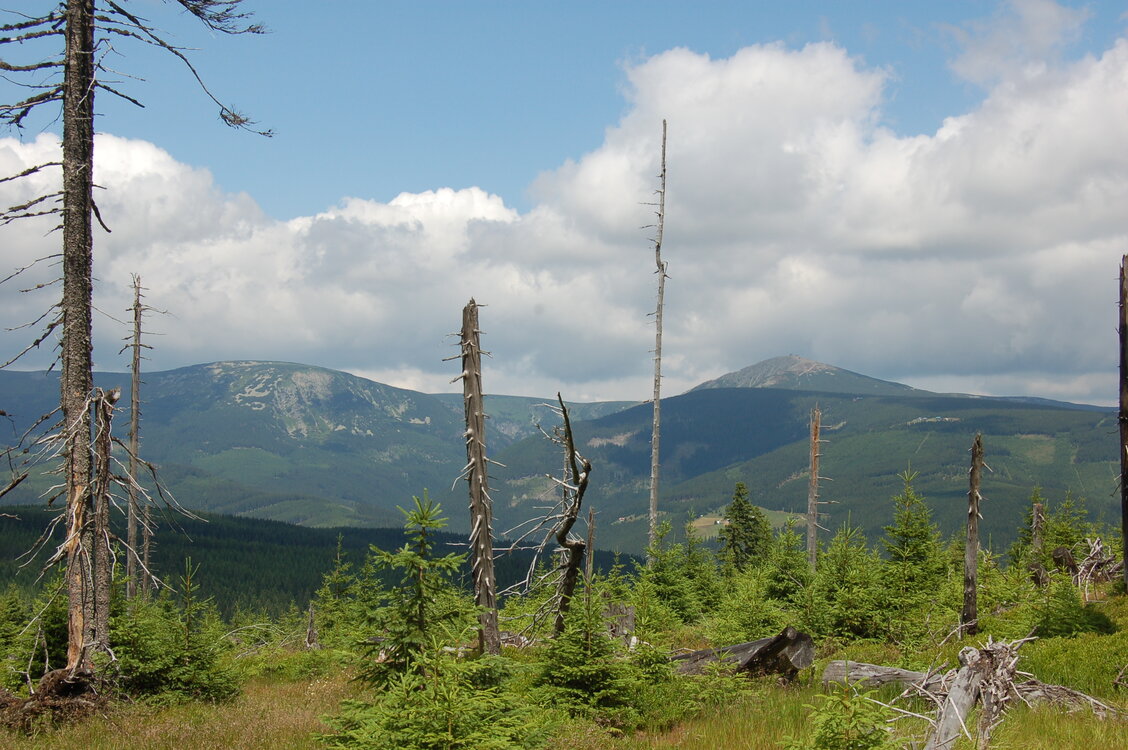 an1_042822.jpg