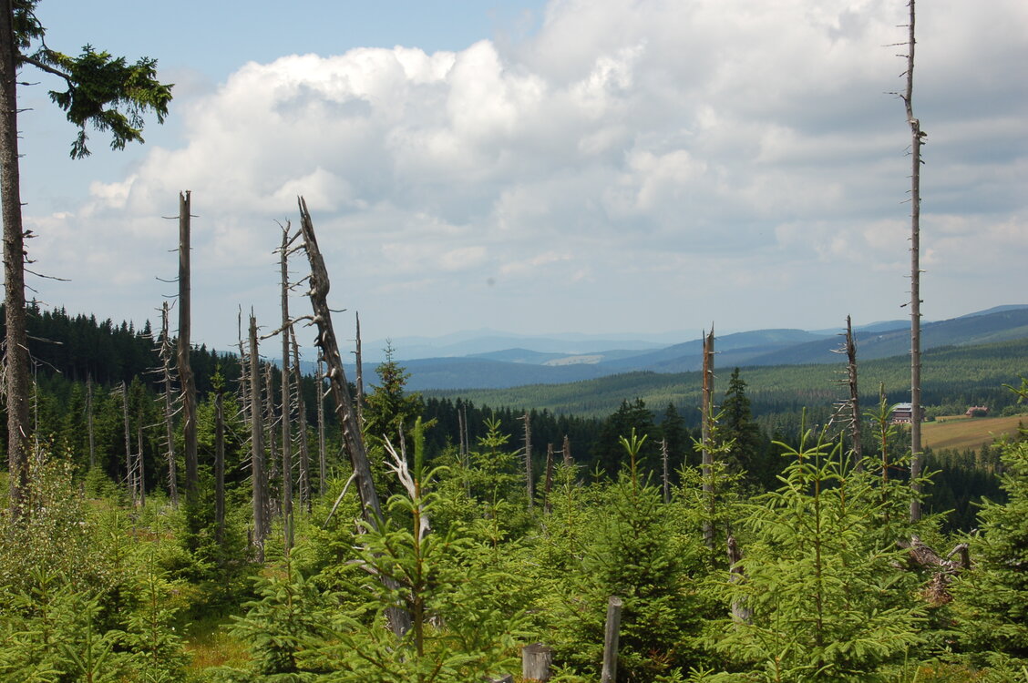 an1_042825.jpg