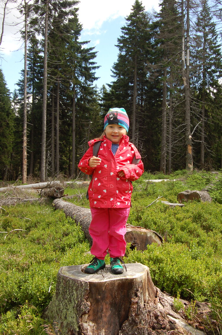 an1_042829.jpg