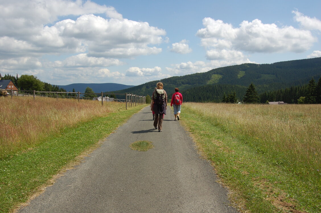 an1_042833.jpg