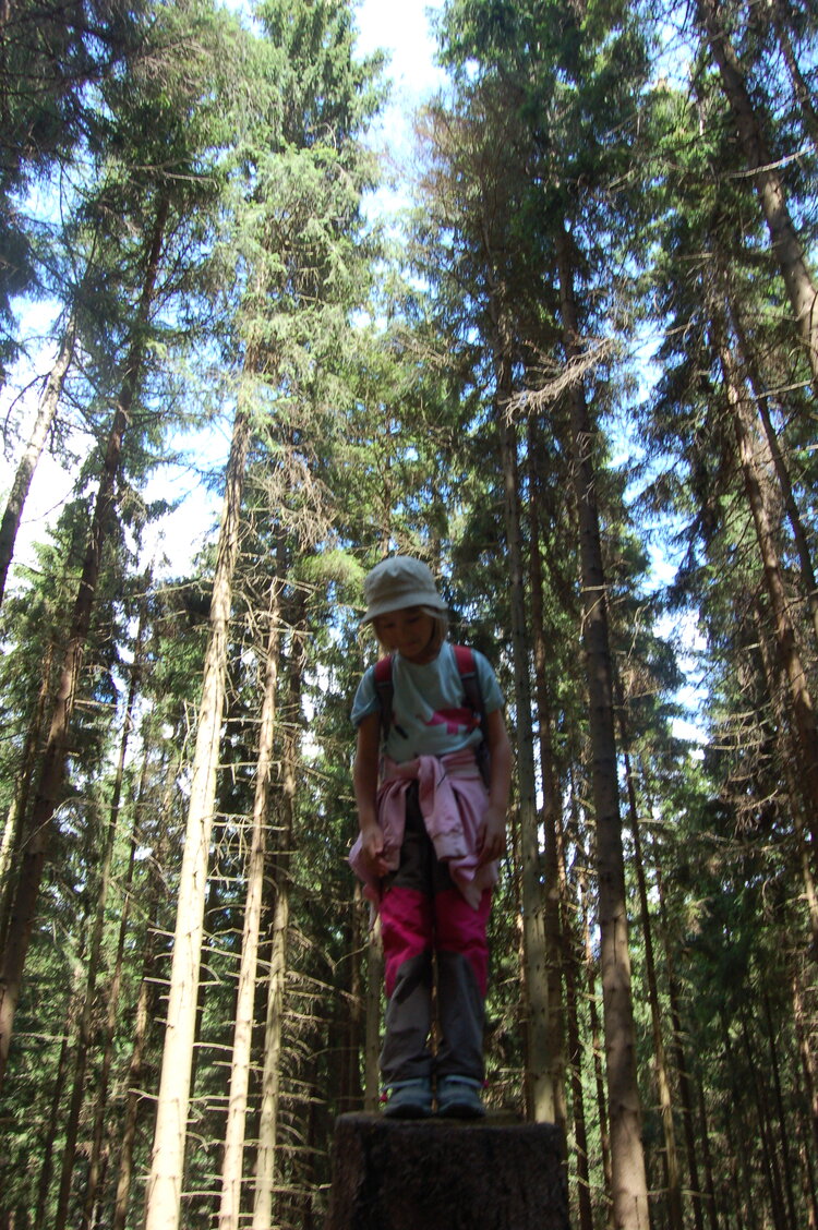 an1_042847.jpg