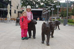 an1_042753.jpg