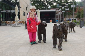 an1_042755.jpg