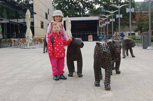 an1_042756.jpg