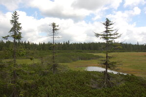 an1_042780.jpg