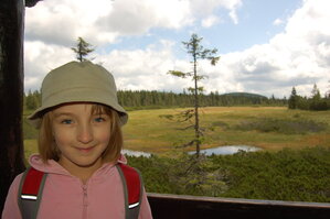 an1_042785.jpg
