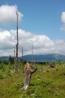 an1_042786.jpg