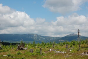 an1_042787.jpg