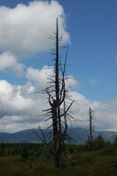 an1_042791.jpg