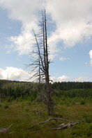 an1_042793.jpg