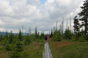 an1_042795.jpg