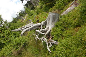 an1_042800.jpg