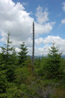 an1_042802.jpg