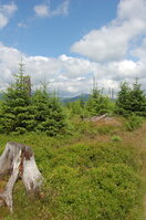 an1_042803.jpg