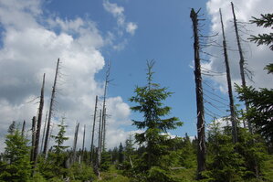 an1_042804.jpg