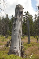 an1_042810.jpg