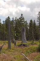 an1_042811.jpg