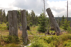 an1_042812.jpg