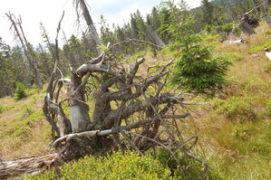an1_042813.jpg