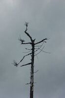 an1_042816.jpg