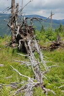 an1_042820.jpg