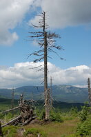 an1_042821.jpg