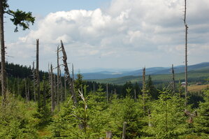 an1_042825.jpg