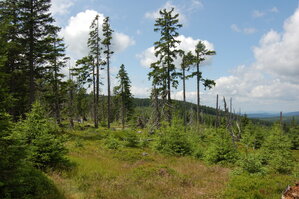 an1_042828.jpg