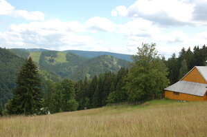 an1_042845.jpg