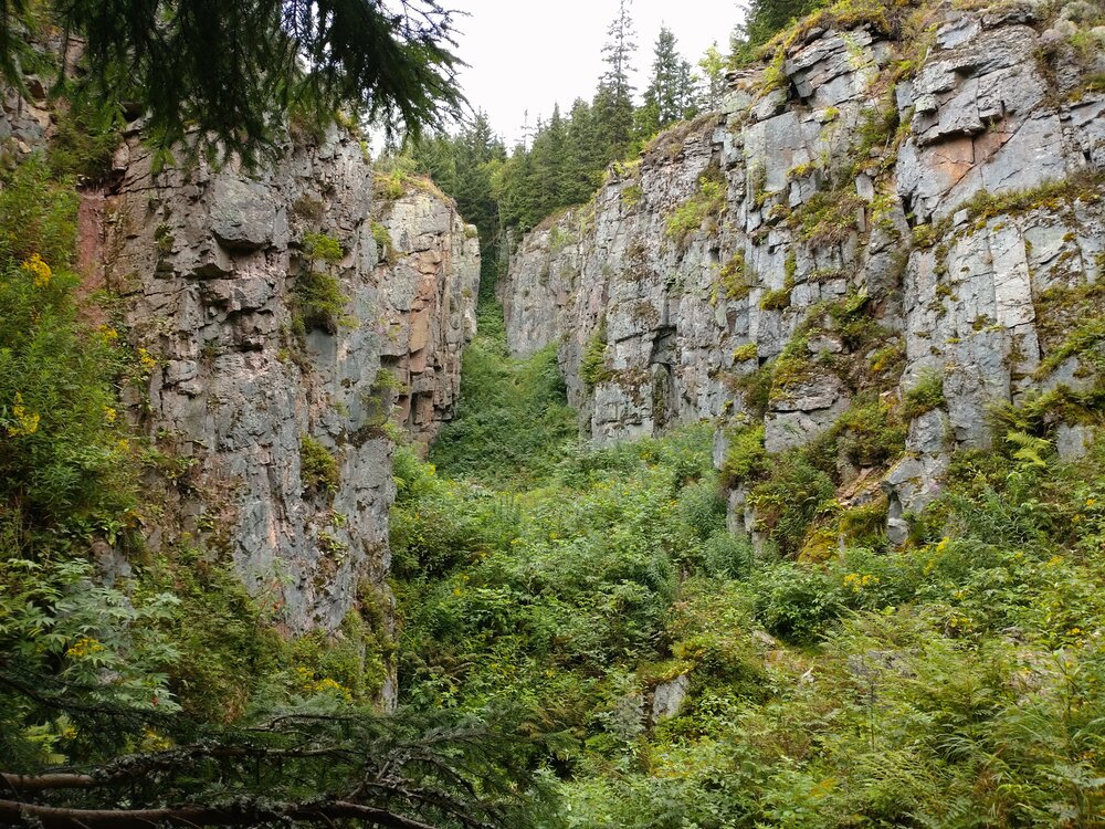 DSC_0197.JPG