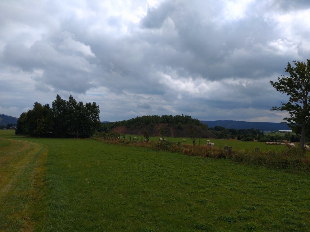 DSC_0223.JPG