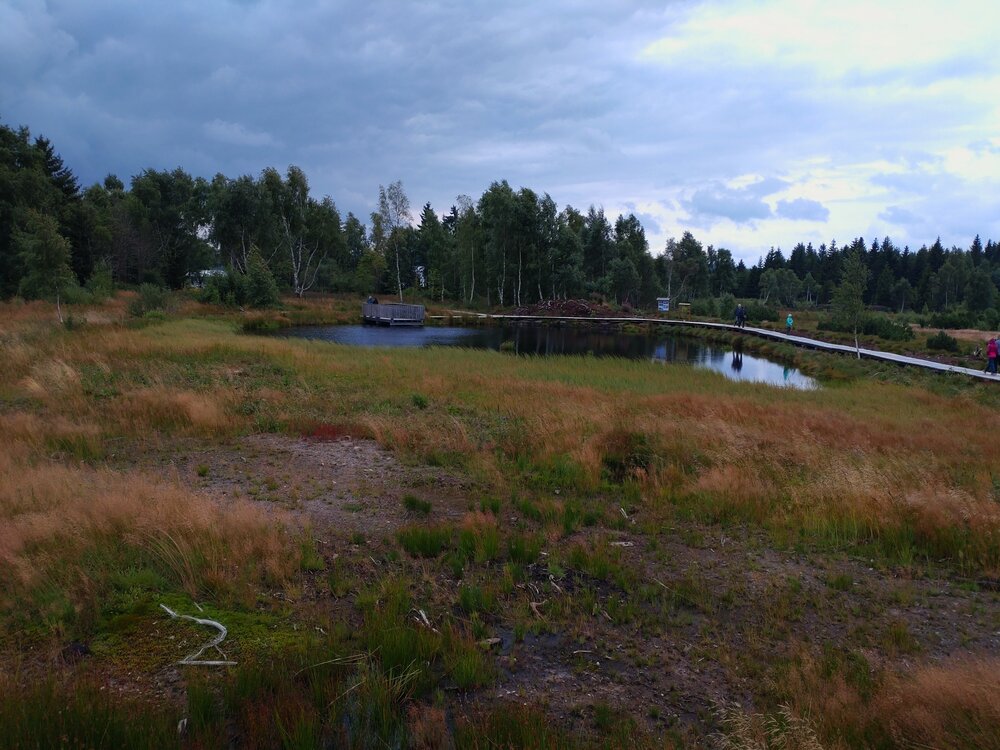 DSC_0245.JPG